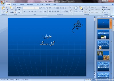 پاورپوینت درباره گل سنگ